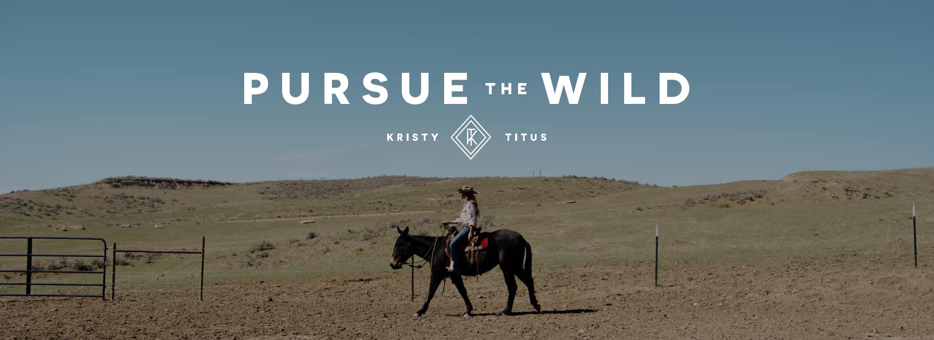 Rider on a mule in pasture.