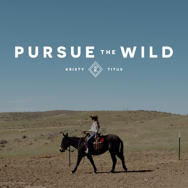 Rider on a mule in pasture.