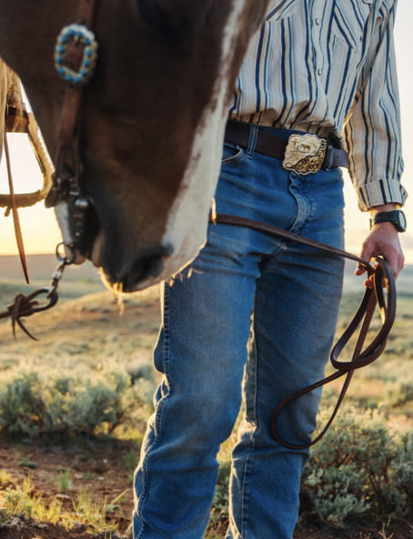 Buckles 1